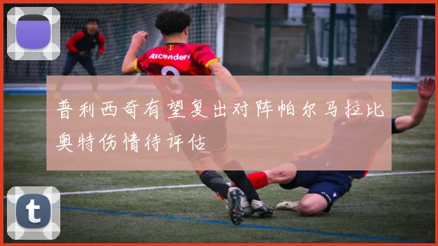 普利西奇有望复出对阵帕尔马拉比奥特伤情待评估