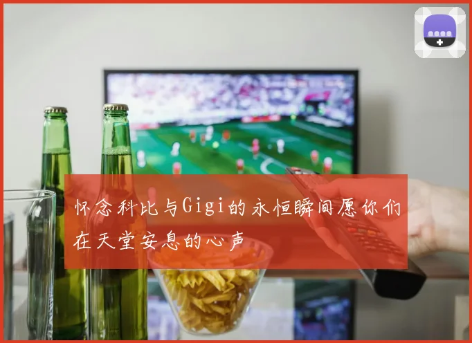怀念科比与Gigi的永恒瞬间愿你们在天堂安息的心声