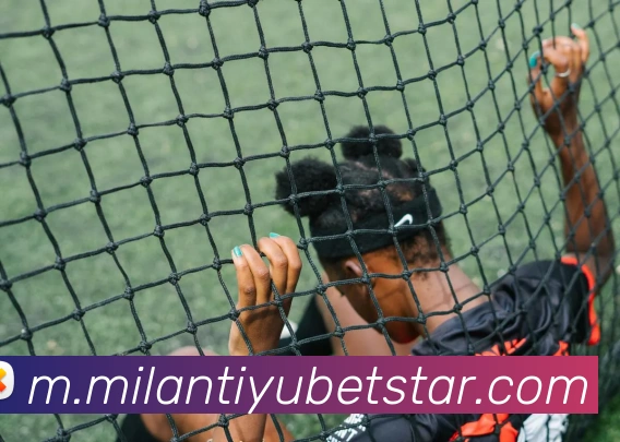 米兰体育平台生态图